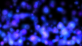 Thumbnail for version as of 15:44, 29 January 2021